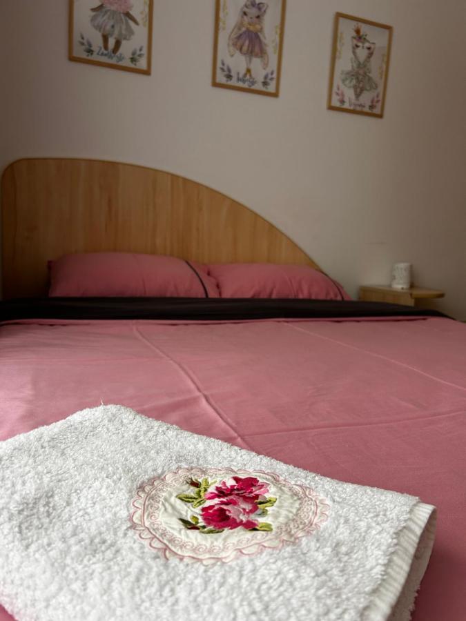 סוסאבה Lalelelor Apartment מראה חיצוני תמונה